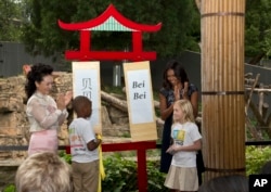 2015年12月1日，美国第一夫人米歇尔·奥巴马和中国第一夫人彭丽媛在华盛顿的美国国家动物园揭示熊猫 “宝宝”的弟弟“贝贝”的名字