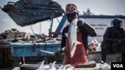 A man holds up a shark to chop up for its fins, liver, and meat in Bossaso, northern Somalia, in late March 2018. (J. Patinkin/VOA)