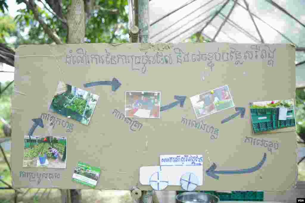 តារាងសង្ខេបដំណើរការប្រមូលផលនិងការវេចខ្ចប់បន្លែសរីរាង្គទៅកាន់ទីផ្សារត្រូវបានគេបង្ហាញក្នុងកម្មវិធី «ការចូលរួមស្វែងយល់ពីដំណាំសរីរាង្គ» (Organic Awareness Day)និងការដាំដុះបន្លែស្តង់ដារអឺរ៉ុបនៅឯរមណីយដ្ឋាន ពិកនិកក្នុងខេត្តព្រះសីហនុ កាលពីថ្ងៃទី០២ កញ្ញា ២០១៧។ (ទុំ ម្លិះ/VOA)