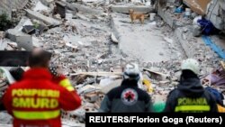Albania, Durres, A rescue dog searches for survivors in a collapsed building in Durres