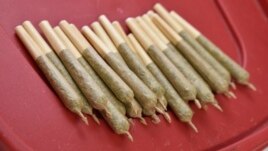 Marijuana cigarettes are seen at the Billings, Mont. medical marijuana dispensary, on Nov. 11, 2020. (AP Photo/Matthew Brown)