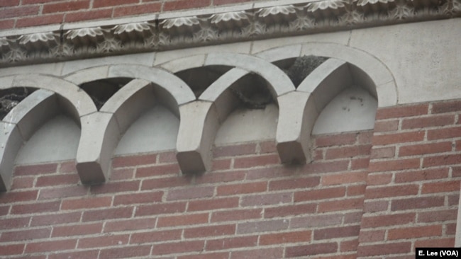 This is an example of how animals, birds in this case, have used human created structures, such as this building, and made it a home. It is a building on the campus of University of California Los Angeles.