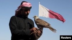 FILE - A Qatari man prepares his falcon to participate in a contest during Qatar International Falcons and Hunting Festival at Sealine desert, Qatar, Jan. 29, 2016. The kidnapping of 26 Qataris in December 2015 in the Iraqi desert while hunting, including members of the country's royal family, has highlighted the risks of pursuing the "sport of kings" at a time of heightened regional turmoil. 