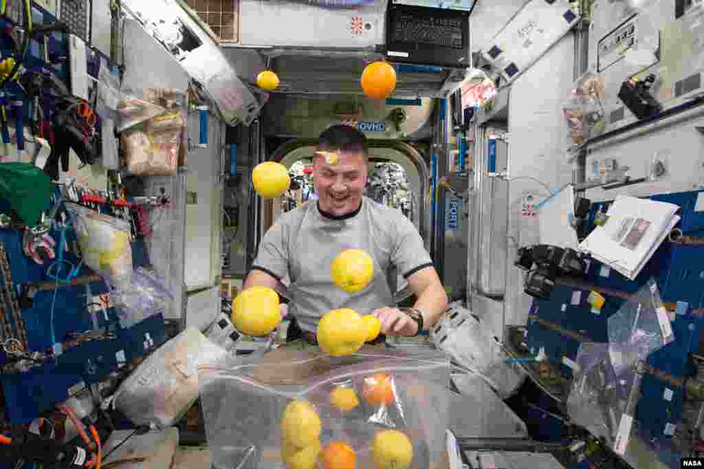 NASA astronaut Kjell Lindgren corrals the supply of fresh fruit that arrived on the Kounotori 5 H-II Transfer Vehicle (HTV-5.) Visiting cargo ships often carry a small cache of fresh food for crew members aboard the International Space Station.