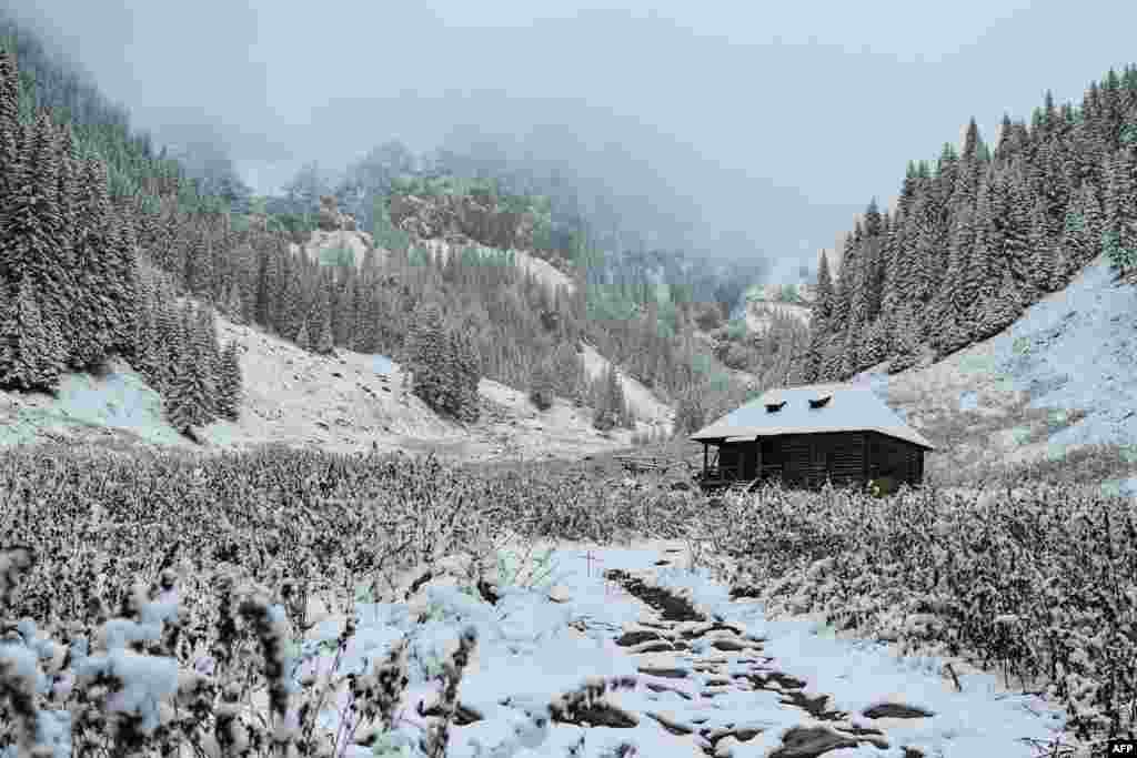 Snow covered fir trees surround a cabin at Valea Rea (The Bad Valley) on Fagaras mountains near Nucsoara, central Romania.