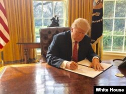 Donald Trump signe un nouveau décret sur l'immigration, à Washington D.C., le 6 mars 2017.