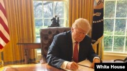 Donald Trump signe un nouveau décret sur l'immigration, à Washington D.C., le 6 mars 2017.