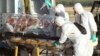 Ébola: EE.UU. listo para preparar droga