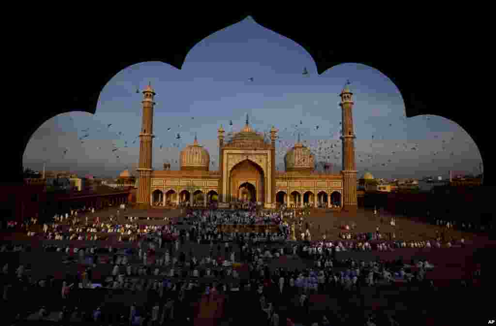 인도 최대의 이슬람 사원 자마 마스지드에서 무슬림들이 &#39;이드 알 아드하​&#39;를 맞아 기도를 올리고 있다.