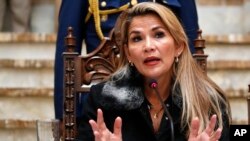 جینین آنیز، رئیس جمهوری موقت بولیوی 