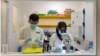 Kegiatan penelitian di Lab Diagnostic WMP Yogyakarta. (Foto: Dok WMP Yogyakarta)