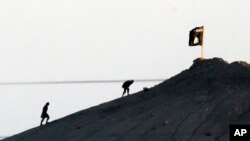 Các chiến binh nhóm Nhà nước Hồi giáo được nhìn thấy sau khi cắm lá cờ của nhóm mình trên đỉnh đồi ở phía đông của thị trấn Kobani, Syria.