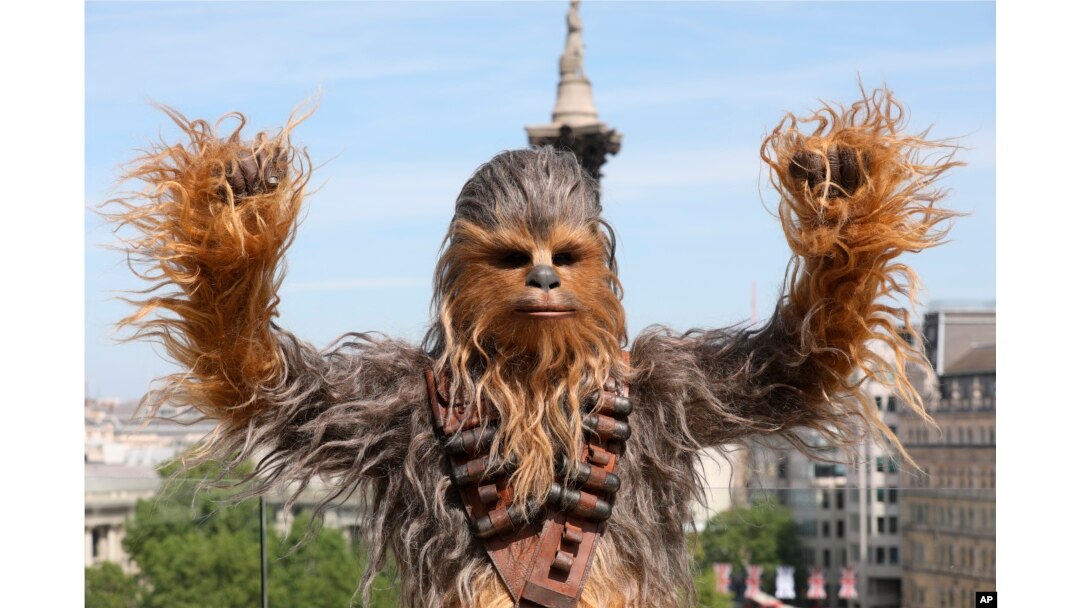A person wearing a costume of the character Chewbacca poses for photographers at the photo call of the film 'Solo: A Star Wars Story' in London, May 18, 2018.
