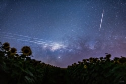 Starlink Satellite Trails over Brazil. Image Credit & Copyright: Egon Filter