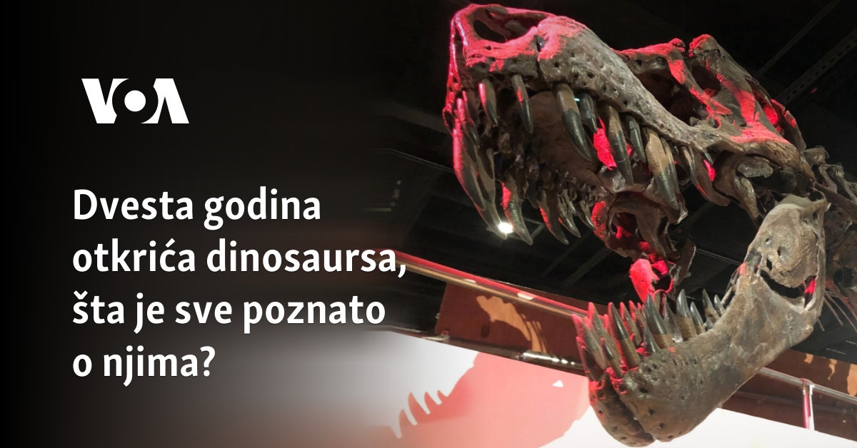 Dvesta godina otkrića dinosaursa, šta je sve poznato o njima?
