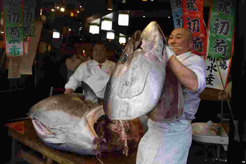 A sushi chef holds up the head of a bluefin tuna at a restaurant in Tsukji market area in Tokyo, Japan, after it was sold at the first auction of 2020 at Tokyo's Toyosu fish market. The tuna was sold 193.2 million yen ($1.8 million).