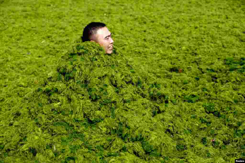 A man covers himself in algae as he plays with his friends at a seaside in Qingdao, Shandong province, China.