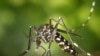 Kesi za virusi vya Zika zimethibitishwa kuwepo India