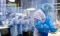 Workers inside a Tyson meat packing plant. (Courtesy of Tyson)