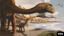 Perkiraan bentuk dinosaurus Angolatitan Adamastor, sebuah jenis saurapod raksasa.