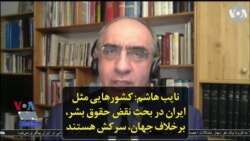 نایب هاشم: کشورهایی مثل ایران در بحث نقض حقوق بشر، برخلاف جهان، سرکش هستند