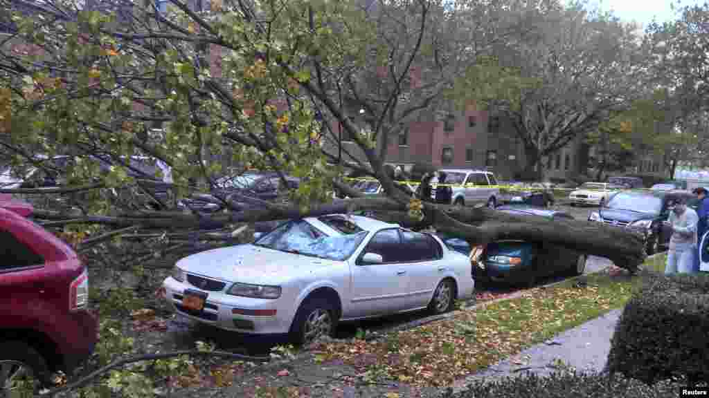 Automobil po stablom oborenim udarima vjetra uragana Sandy.
