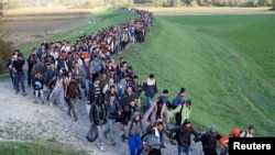 Migrants make their way on foot along the outskirts of Brezice, Slovenia, Oct. 20, 2015.