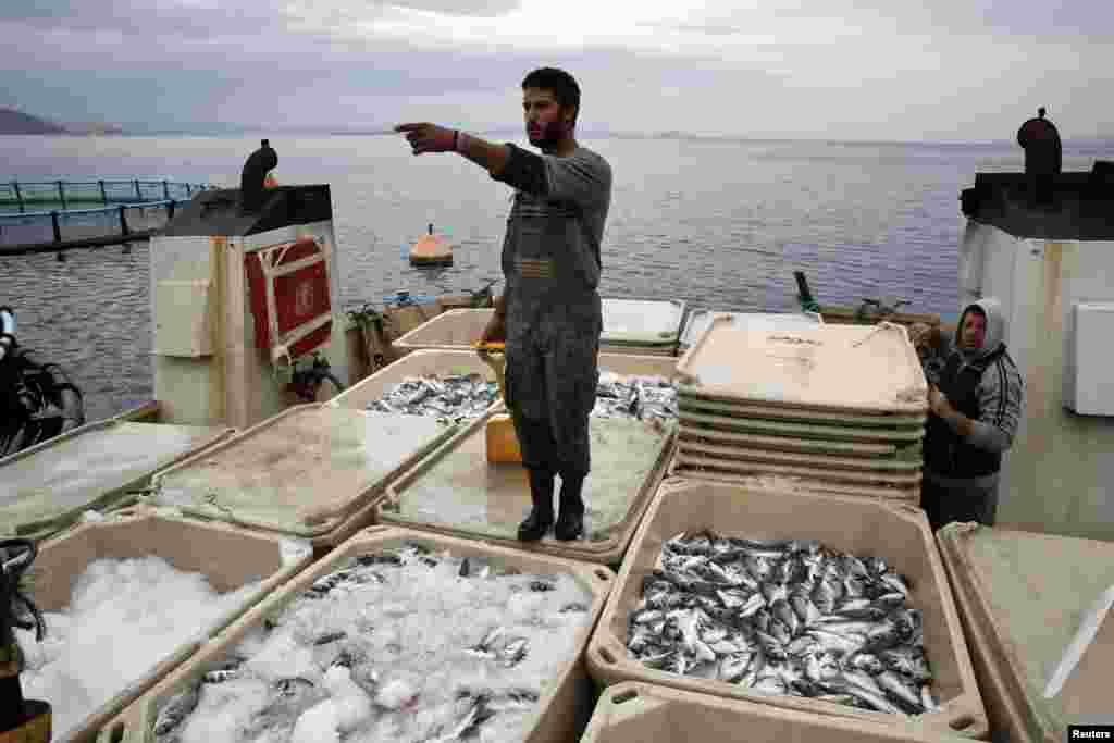 گزشتہ برسوں کی کساد بازاری کے باعث متاثر ہونے والی یونان کی معیشت کے لیے ماہی پروری کی صنعت ایک اہم درجہ رکھتی ہے۔