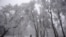 A man walks under trees covered with hoar-frost on Galyateto Mountain, Hungary.