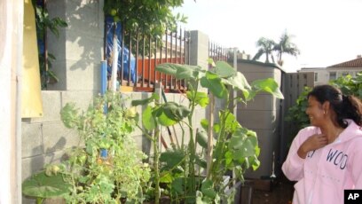 Community Gardens Help Low Income Los Angeles Dwellers