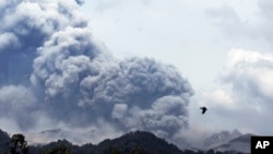 Gunung Kelud terlihat dari desa Anyar, Blitar, Jawa Timur (14/2)