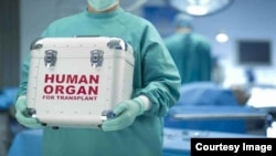 FILE - A human organ is transported for a transplant.