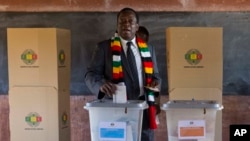 Emmerson Mngangwa Zanu PF Votes Zimbabwe Elections