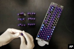 In this Aug. 10, 2015, photo, Christine Jelinek, a postdoctoral fellow at Johns Hopkins University, works alongside a tray of vials containing cerebral spinal fluid in Baltimore.