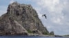 资料照片：一只海鸟飞过东中国海日本称作尖阁、中国称作钓鱼岛的岛屿。(2012年9月2日)