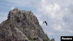 资料照片：一只海鸟飞过东中国海日本称作尖阁列岛、中国称作钓鱼岛的无人居住的岛屿。（2012年9月2日）