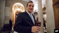 FILE - In this Feb. 3, 2017 file photo, Sen. Ted Cruz, R-Texas, departs the Senate chamber on Capitol Hill in Washington. 