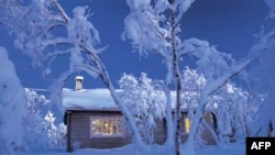 snow covered cottage with trees around