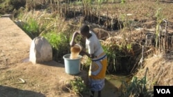 A woman gathers water in Malawi. A cholera outbreak that has hit the country is being linked to poor hygiene and untreated water. (L. Masina/VOA) 
