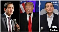 A combination photo shows U.S. Republican presidential candidates Marco Rubio (L) in North Las Vegas, Nevada on Feb. 21, 2016, Donald Trump in Spartanburg, South Carolina on Feb. 20, 2016 and Ted Cruz (R) in Las Vegas, Nevada on Feb. 22, 2016.