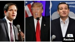 A combination photo shows U.S. Republican presidential candidates Marco Rubio (L), Donald Trump (C) and Ted Cruz (R). Republican presidential contenders are headed to a crucial debate on Feb. 25, 2016.