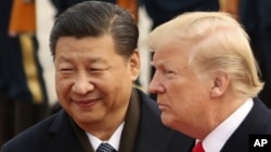 Hai ông Trump, Tập gặp nhau hôm 9/11/2017 ở Bắc Kinh