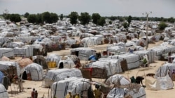Nigeria: la société civile appelle les autorités à ne pas fermer des camps de déplacés