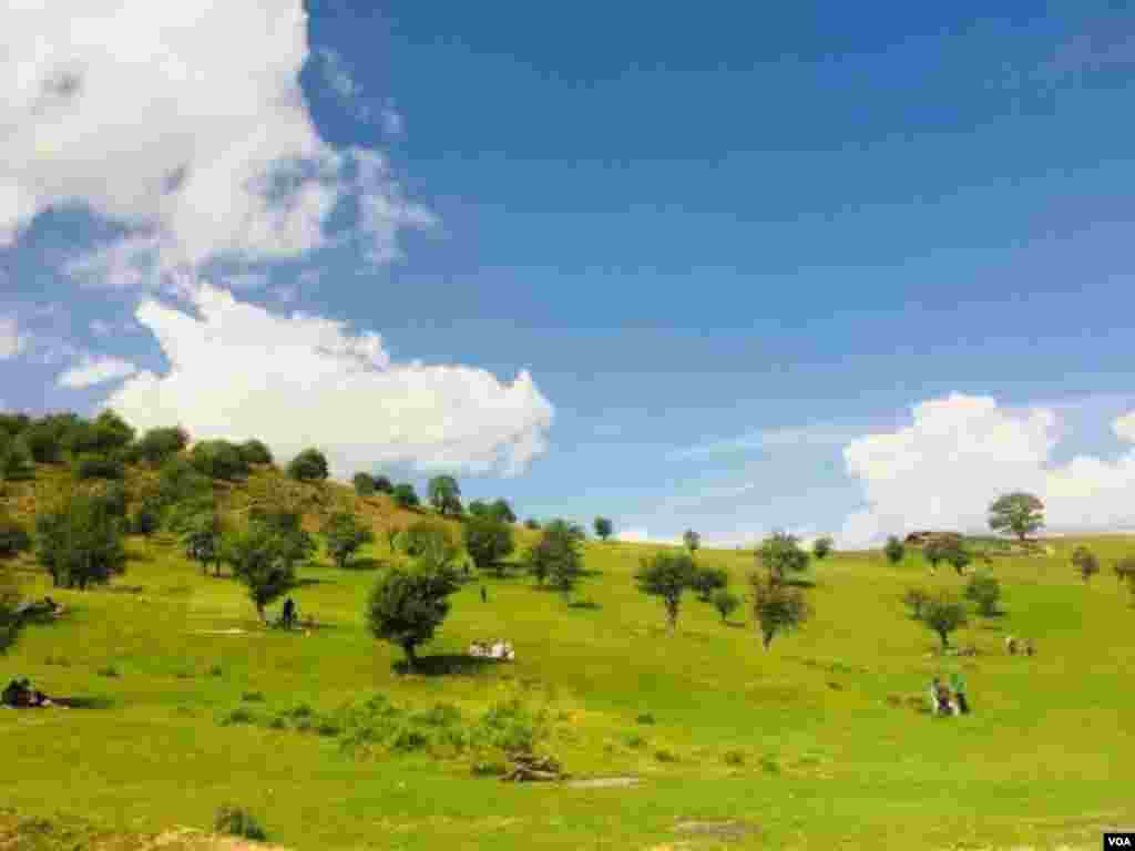 مازندران- منطقه فیلبند عکس: سعید (ارسالی شما)