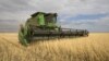 Few Winter Wheat Farmers Meet Planting Deadline