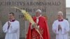 El papa Francisco bendice palmas en comienzo de Semana Santa