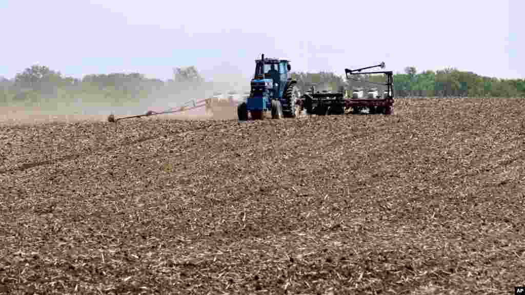 U Iowi, farmer sije kukuruz na svom polju, u maju 2012. 