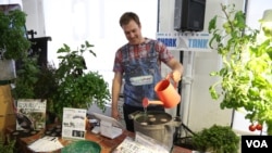 Cam MacKugler waters a seedsheet at the Food Loves Tech event in Brooklyn, Nov. 3, 2017. (T. Trinh/VOA)