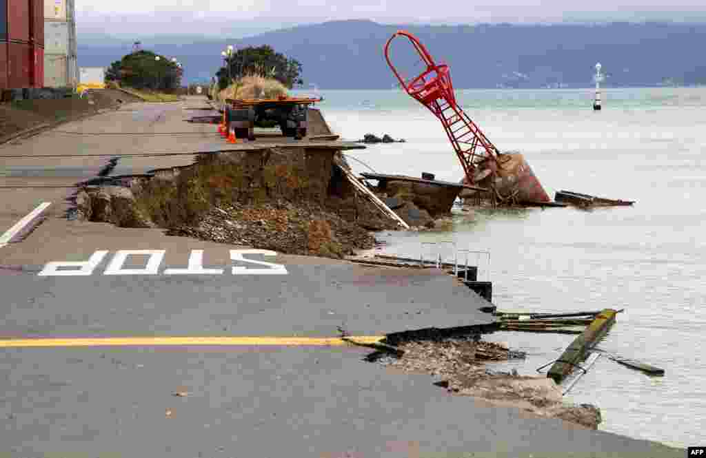 A buoy that was on the edge of the road sits in the harbor after a 6.5 magnitude earthquake caused the land to fall into the sea at the Port Wellington Container terminal in New Zealand.