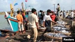 An Acehnese man unloads fish from fishing boats in Banda Aceh on the Indonesian island of Sumatra. (file photo)